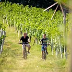 Apartamento Weingut Birnstingl *