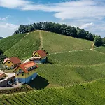Weingut Birnstingl *