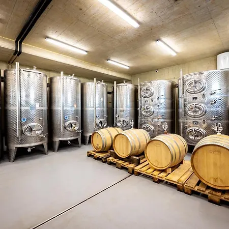 Weingut Birnstingl Διαμέρισμα *