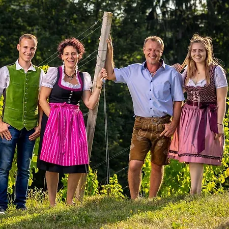 Weingut Birnstingl شقة *