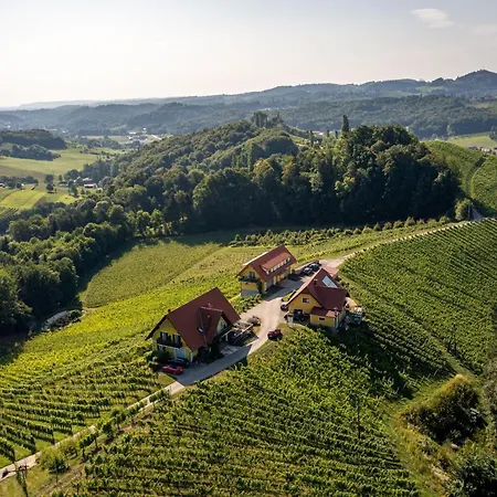 Apartment Weingut Birnstingl Gamlitz