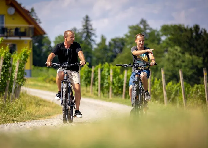 Weingut Birnstingl דירה