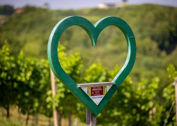 Weingut Birnstingl