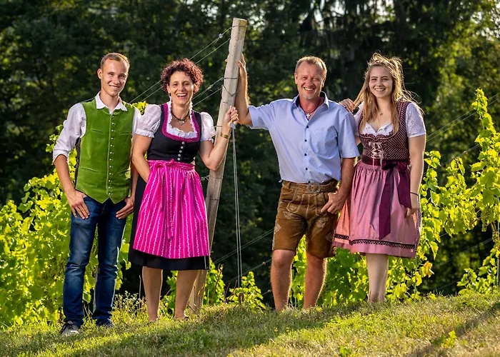 Weingut Birnstingl Apartment *