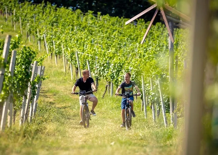 Apartment Weingut Birnstingl *