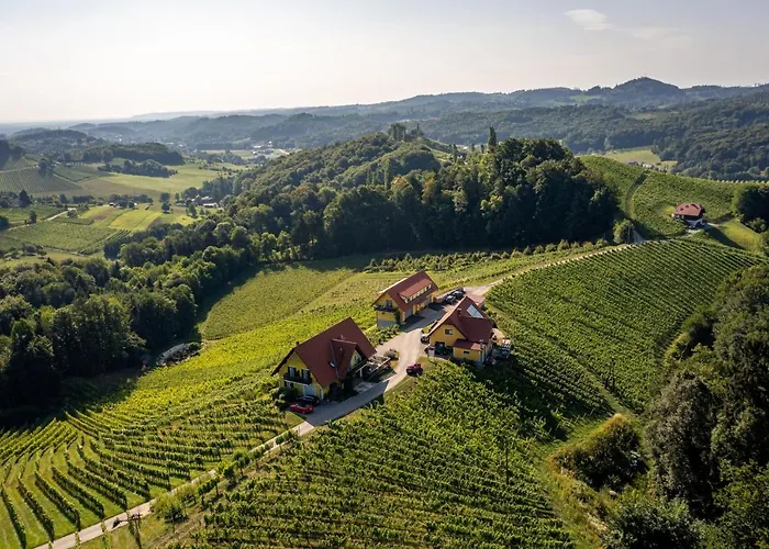 Apartment Weingut Birnstingl Gamlitz