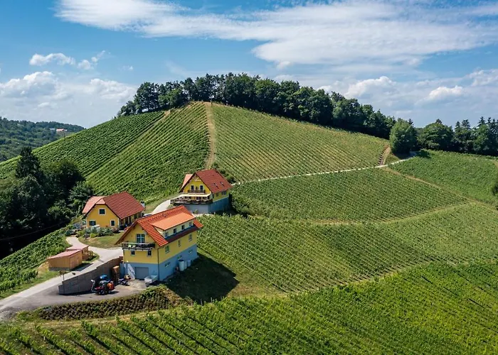 Weingut Birnstingl *